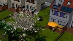 B�ume Set 1 im EEP-Shop kaufen Bild 6