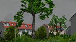 B�ume Set 1 im EEP-Shop kaufen Bild 6