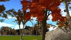 B�ume Set 1 im EEP-Shop kaufen Bild 6