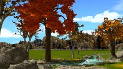 B�ume Set 1 im EEP-Shop kaufen Bild 12