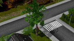 B�ume Set 1 im EEP-Shop kaufen Bild 13