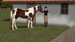  Reiterinnen und Reiter mit Pferd im EEP-Shop kaufen