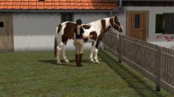  Reiterinnen und Reiter mit Pferd im EEP-Shop kaufen