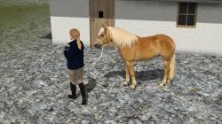 Reiterinnen und Reiter mit Pferd im EEP-Shop kaufen Bild 6