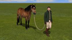 Reiterinnen und Reiter mit Pferd im EEP-Shop kaufen Bild 6
