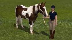 Reiterinnen und Reiter mit Pferd im EEP-Shop kaufen Bild 6