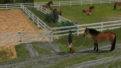  Reitplatz mit Koppelzaun und Zubeh� im EEP-Shop kaufen