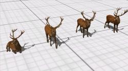 Rehe, Hirsche, Kitze im EEP-Shop kaufen Bild 6