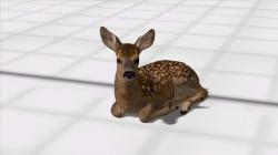 Rehe, Hirsche, Kitze im EEP-Shop kaufen Bild 6