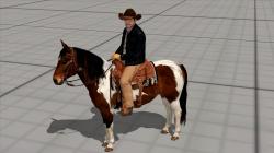  Reiter auf dem Pferd im EEP-Shop kaufen