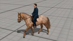 Reiter auf dem Pferd im EEP-Shop kaufen Bild 6