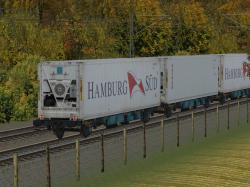  Zweiachsiger Containertragwagen Typ im EEP-Shop kaufen