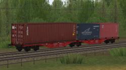  Zweiteiliger Containertragwagen Sgg im EEP-Shop kaufen