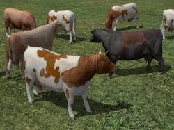 Kinematisch animierte Kühe ab EEP 9 im EEP-Shop kaufen Bild 6