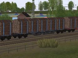 Holztransportwagen Typ Sgns/Sgnss H im EEP-Shop kaufen