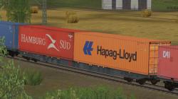 Containertragwagen Typ Sggnss Ermew im EEP-Shop kaufen