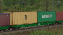 Containertragwagen Typ Sggnss SETG im EEP-Shop kaufen