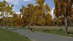 Herbstbirken im EEP-Shop kaufen