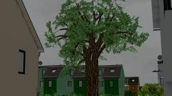 B�ume Set 1 im EEP-Shop kaufen