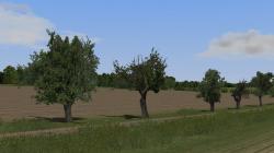Obstb�ume alt im EEP-Shop kaufen