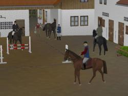 Reitsport Set 1 im EEP-Shop kaufen