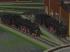 Schnellzuglokomotive S 3/6, 1. Bauform der DRG (1)
