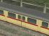 Duewag-Einheitstriebwagen 707+BW914 und 817 (GT8-ER) - 1435mm (2)