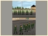 Soldaten Set 1 (3)