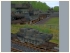 Leopard 2 Transport-Set (1)