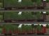 Holztransportwagen der Gattung Roos - Set 2 (3)