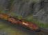 Sparset US Diesellokomotive EMD SD40 und Caboose (4)