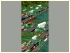 Sparset Containerkr�ne II (3)