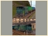 E-Lok-Set SBB Ae 4/7 11010 und 11026 in Epoche III (2)