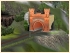 Loreleytunnel (2)