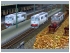 Sparset Diesellokomotiven der Rum�nischen Eisenbahn (1)