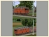 Schmalspur Diesellok OEBB 2070 (1)