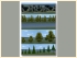 Baum- und Waldset (1)