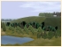 Baum- und Waldset (2)