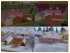 Bauernhaus aus Ost�sterreich Set 1 mit Zubeh�r (4)