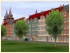 Junge Stadtb�ume (1)