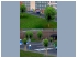 Junge Stadtb�ume (3)