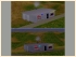US-Mountain-Set (4)