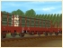 DRG Rungenwagen nach Vorkriegsbauart (1)