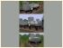 Kesselwagen f�r Wasserglas der SBB (4)