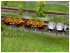 Weinfasswagen Set2 (2)