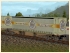 Bierzug (2)
