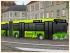 Busse-Set1 (2)