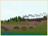 Alte Steinbr�cke (1)