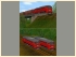 Diesellkomotiven DR 120 245 und V200 245 (1)