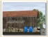 Holzschuppen und Holzstapel (4)